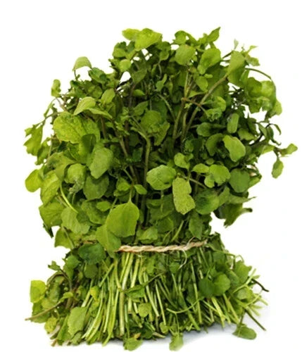 Watercress Seeds - 500+ True Watercress Microgreen Seeds for Indoor & Outdoor Growing, Nasturtium officinale Superfood Seeds