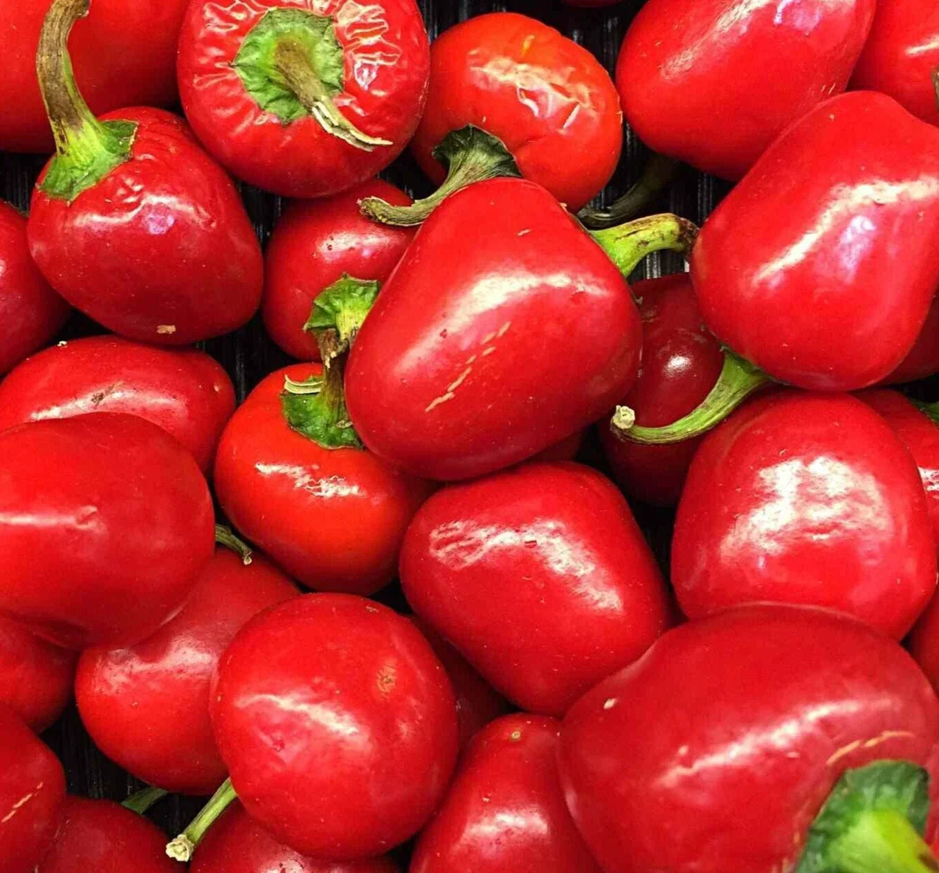 Pimento Pepper Seeds 50+ Sweet Variety for Gardening, Capsicum annuum, Perfect for Pickling & Cooking