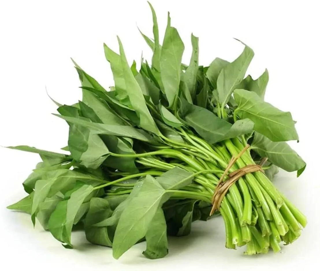 Ong Choy Seeds - 100g Vietnamese Water Spinach, Hat Rau Muong, Kang Kong, Ipomoea aquatica