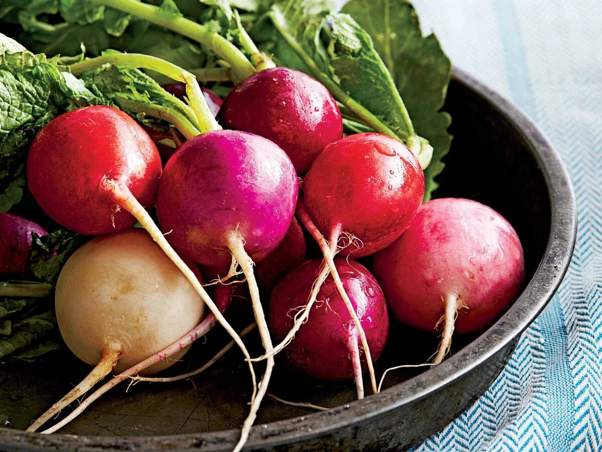 Easter Egg Radish Seeds - Non-GMO, Assorted Colors, Fast Harvest, Raphanus sativus, Container Garden, Cool-Season Crop