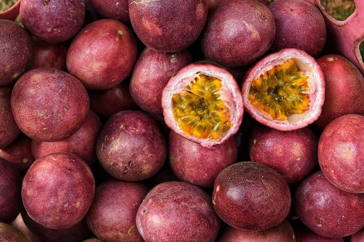 Passion Fruit Seeds - 50 Count - Passiflora edulis - Healthy, Fast-Growing Vine