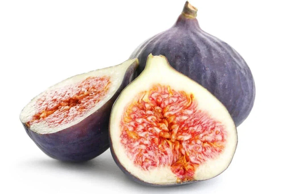 Portuguese Fig Seeds - 100+ Count Roxo Variety - Ficus carica for Garden Planting USA