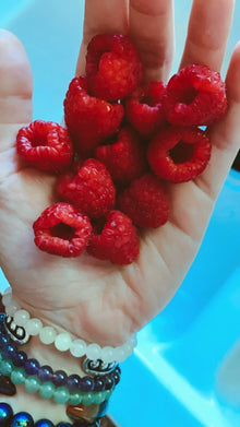 Red Raspberry Seeds - 25 Count Edible Berry Garden Vine - Rubus idaeus - USA Homegrown Medicinal Plant
