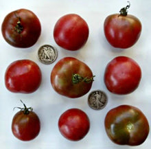 Brandywine Black Tomato Seeds - 25 Fresh Seeds - Heirloom Variety - Solanum lycopersicum