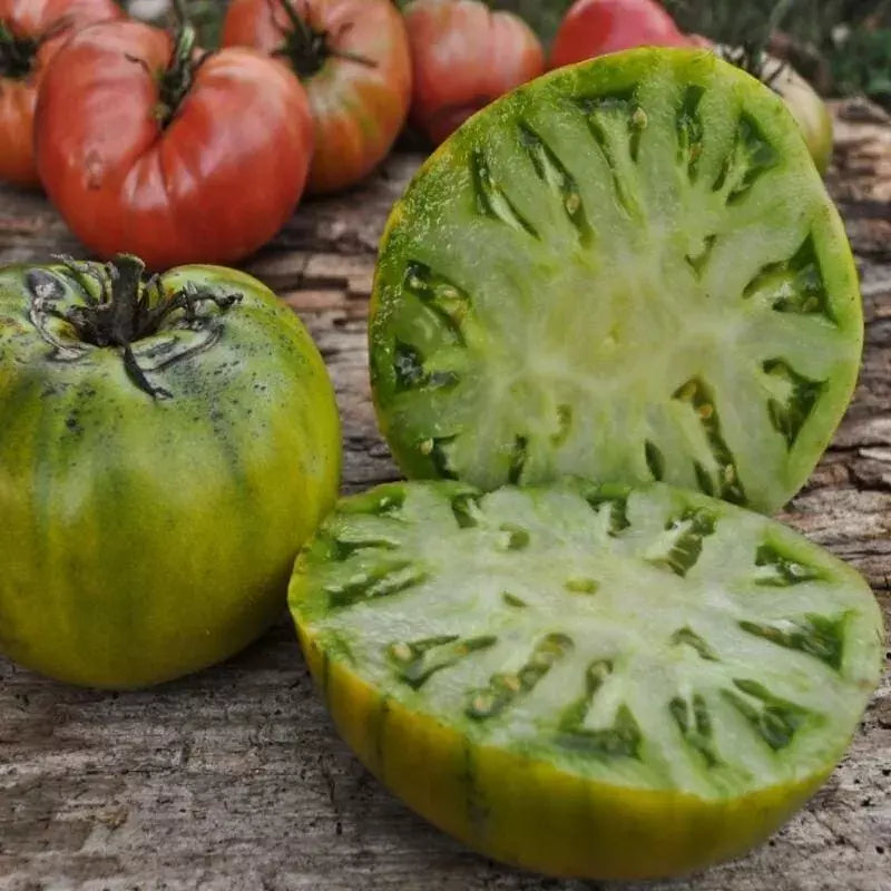Cherokee Green Tomato Seeds - Organic Heirloom Non-GMO, Rare Variety for Home Gardening, Solanum lycopersicum