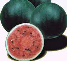 Watermelon Seeds, 100 Count, Sugar Baby Heirloom, Non-GMO, Watermelons, Citrullus lanatus