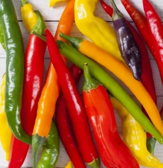 Rainbow Cayenne Pepper Seeds Mix - 30+ Spicy Hot Pepper Seeds Capsicum annuum for Salsas & Cooking