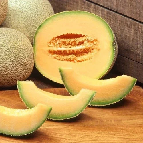 Cantaloupe Seeds Heirloom Non-GMO Edisto 47 Cucumis melo for Home Gardening, Juicy Melons