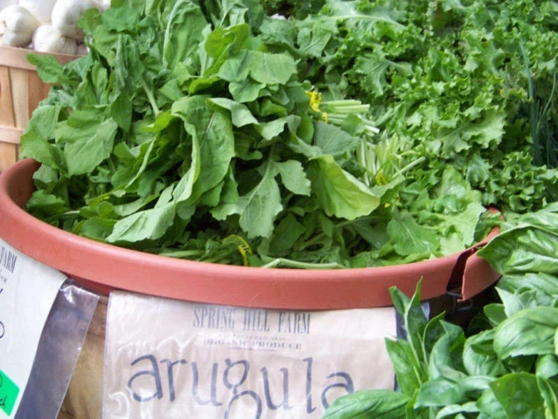 Arugula Seeds 700 Count - Roquette Salad Greens - Eruca sativa - Non-GMO, Fast-Growing, Perfect for Gardens & Containers
