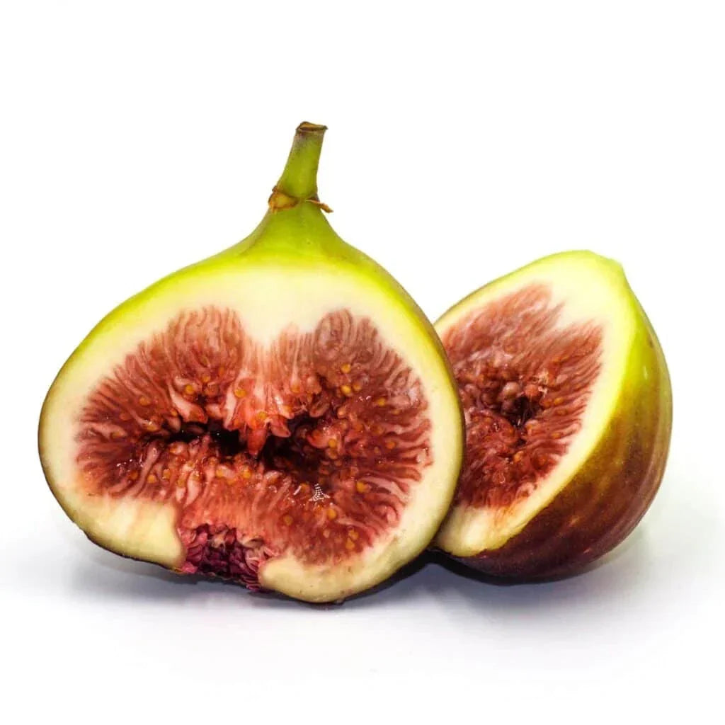Brown Turkey Fig Seeds - 100+ Organic Ficus carica Seeds for Garden Planting - USA Cultivated