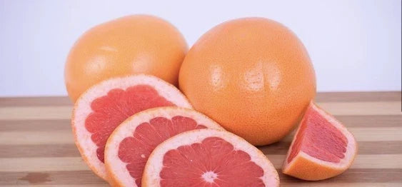 Pink Grapefruit Tree Cuttings - 4 Pack - Citrus × paradisi for Home Gardening & Indoor Planting