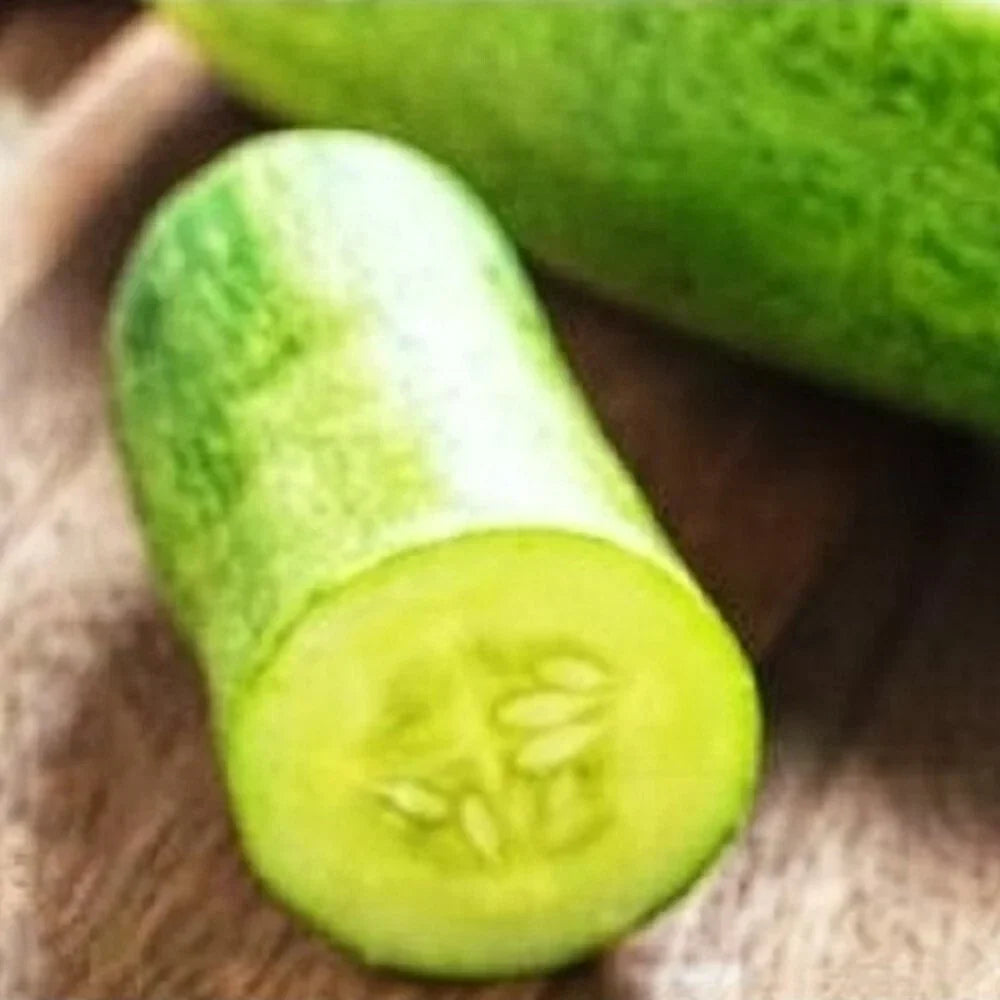 Straight Eight Cucumber Seeds | Non-GMO Heirloom Vegetable Seeds | Organic Cucumis sativus for Garden, Trellising