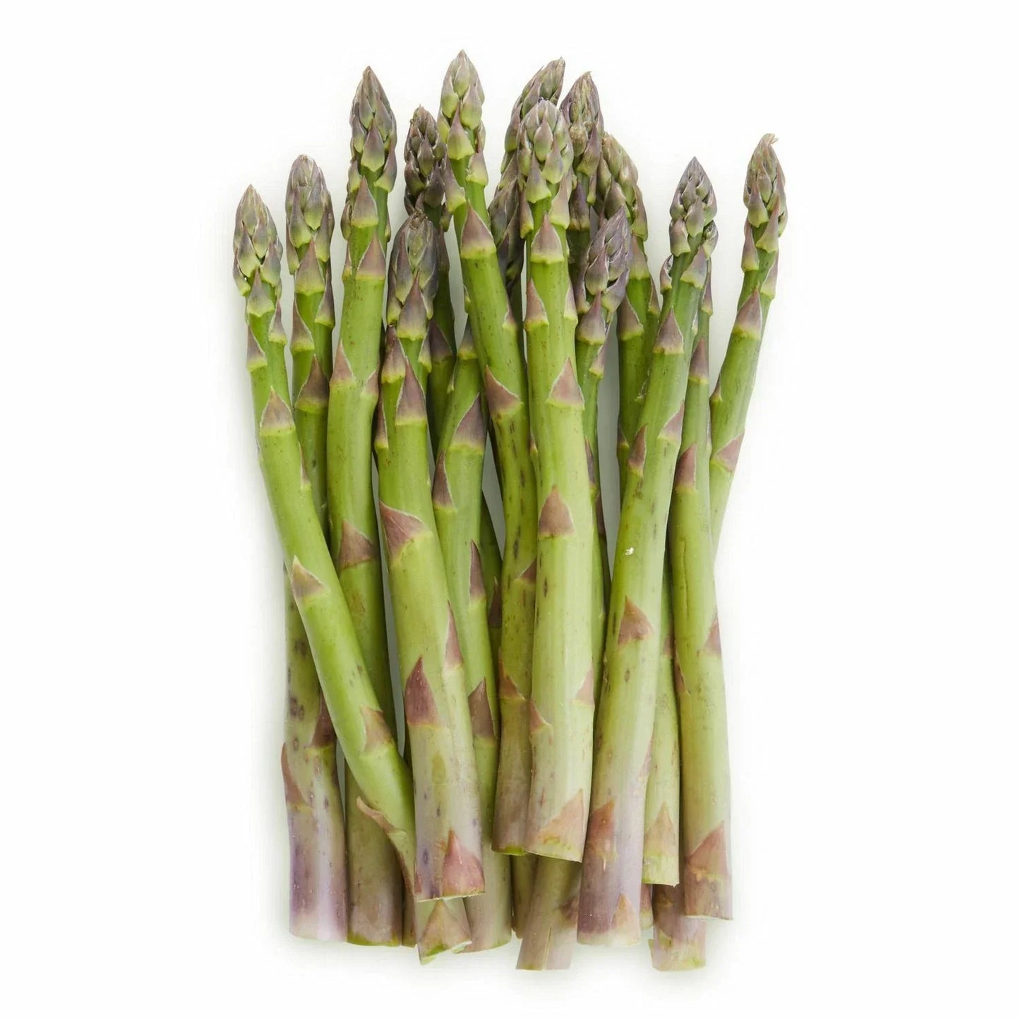 Mary Washington Asparagus Seeds – Non-GMO Heirloom Vegetable Seeds for Home Gardens – Asparagus officinalis, Perennial Vegetable, Pack of 50