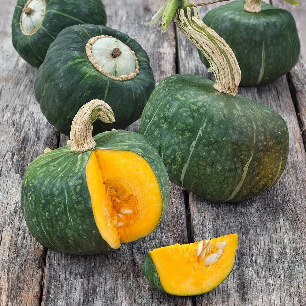 Burgess Buttercup Squash Seeds - 20+ Count - Cucurbita maxima - Heirloom Vegetable Seeds for USA Garden 2025 Planting