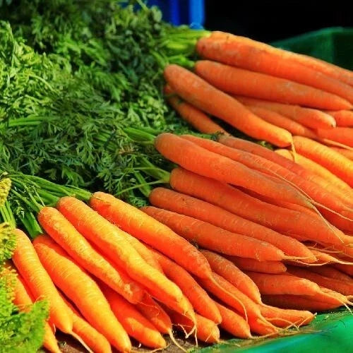 Tendersweet Carrot Seeds - Organic Heirloom Daucus carota - Non-GMO, Fresh Pack of 1000+ Seeds for Home Gardening