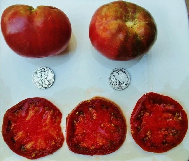 Cherokee Purple Tomato Seeds - Heirloom Variety, Solanum lycopersicum, 25 Seeds, Juicy, Purple, Indeterminate, Vegetable Seed Packet