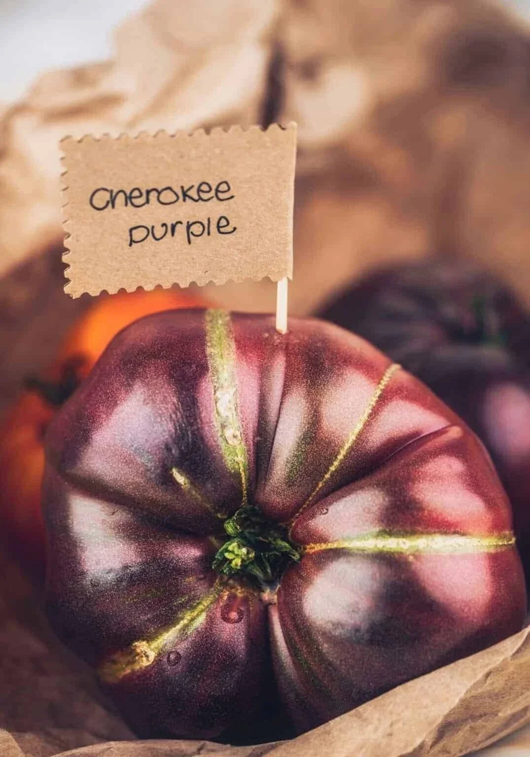 Cherokee Purple Tomato Seeds - Organic Heirloom Non-GMO, Solanum lycopersicum, 10+ Premium Seeds for Home Garden, Flavorful, Easy to Grow