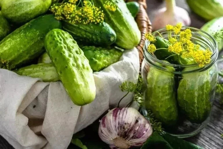 Boston Pickling Cucumber Seeds - Non-GMO Heirloom Cucumis sativus for Pickling & Fresh Salads, Vining, Packet of Seeds