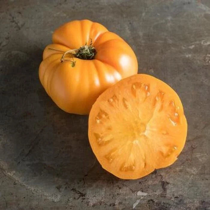 Yellow Brandywine Tomato Seeds – Organic Heirloom, NON-GMO, Pack of 10+ Solanum lycopersicum, Juicy, Large, Sweet Fruits