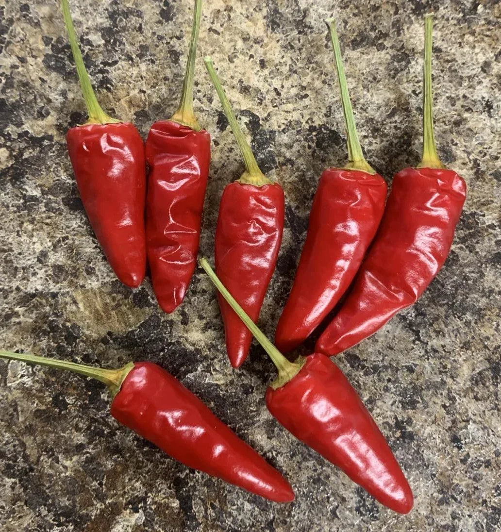 Paprika Spice Pepper Seeds - Heirloom Non-GMO Capsicum annuum, 25 Seeds for Home Garden, Culinary Use, Vibrant Red Peppers