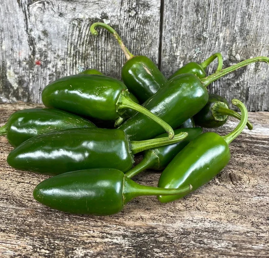 Jalapeno Pepper Seeds - Heirloom Non-GMO - Early Variety - Capsicum annuum - Spicy Culinary Peppers, 20 Seeds Pack