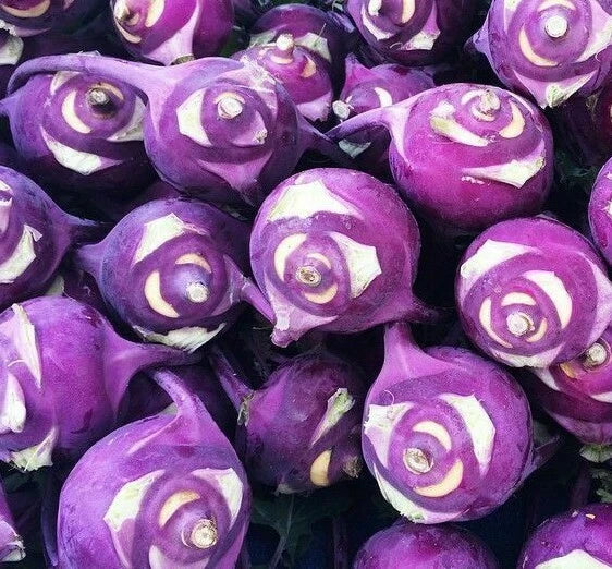 Kohlrabi Seeds 300+ Purple Vienna Vegetable Garden Brassica oleracea for Cool-Season Growing