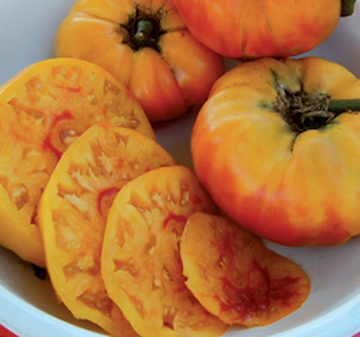 Gold Medal Tomato Seeds - 15 Non-GMO Heirloom Solanum lycopersicum, Large Golden-Yellow Tomatoes for Salads & Cooking