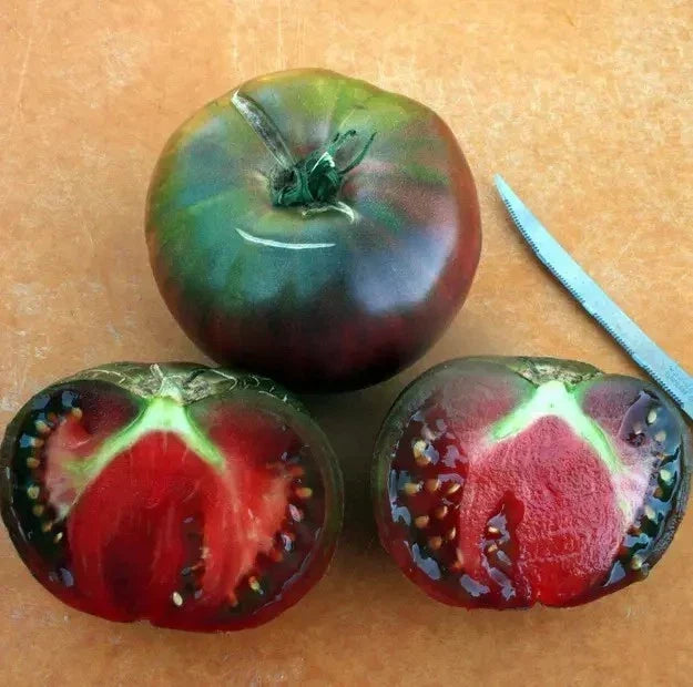 Black From Tula Tomato Seeds - Organic Heirloom, Non-GMO, Deep Burgundy, Solanum lycopersicum, 30+ Seeds