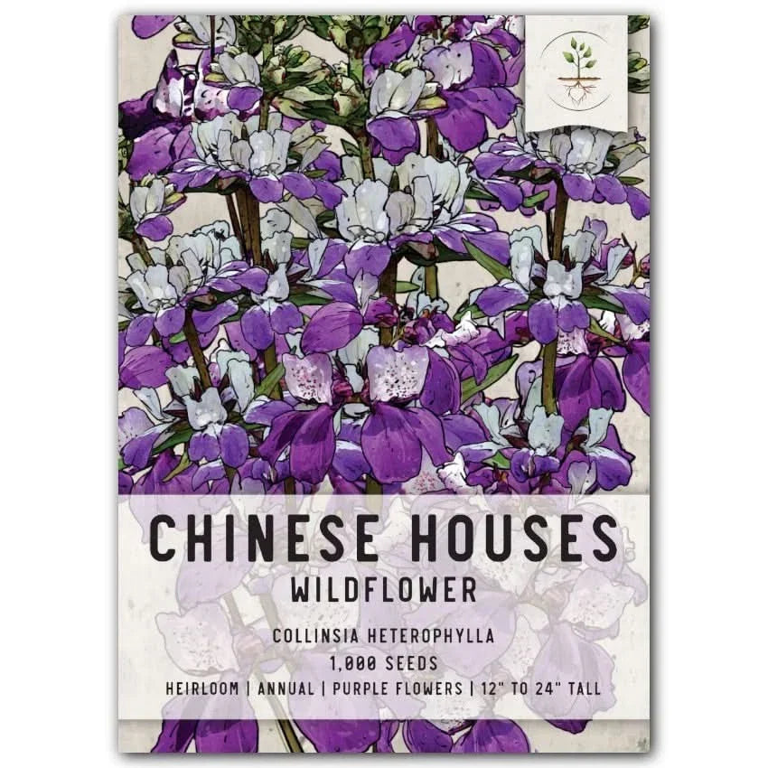 Chinese Houses Seeds, Collinsia heterophylla, Colorful Wildflower Seeds, Annual Planting Packet