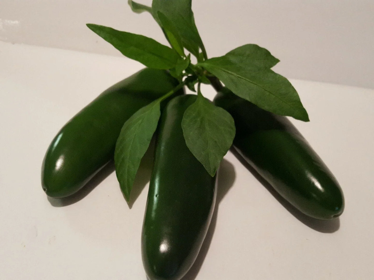 Jalapeno Pepper Seeds - 40 Pack - Spicy Capsicum annuum for Home Garden, Container, and Culinary Use