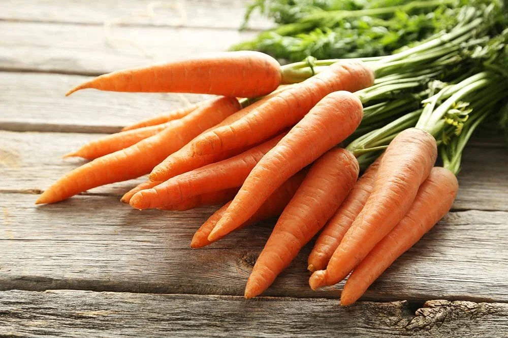 Scarlet Nantes Carrot Seeds | 100+ Heirloom Seeds | Daucus carota