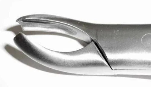 Dental Forcep #18L
