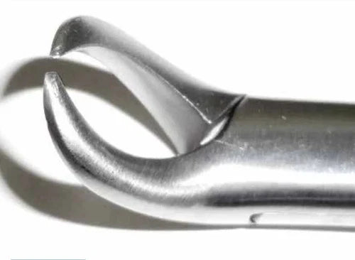 Dental Forcep #23