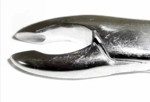 Dental Forcep #213