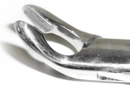 Dental Forcep #151