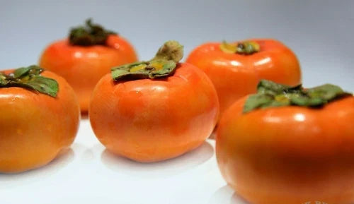Live Fuyu Persimmon Tree Sapling – 6" to 1ft, Diospyros Kaki, Sweet Asian Fruit Tree, Hardy Bare-Root Seedling for Garden