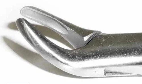 Dental Forcep #103