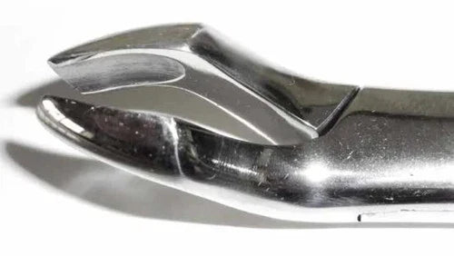 Dental Forcep #10S
