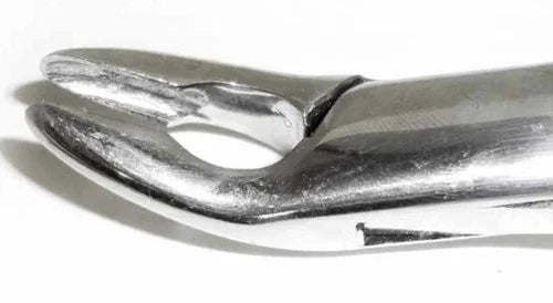 Dental Forcep #150A