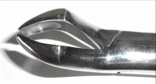 Dental Forcep #10H