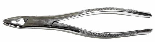 Dental Forcep #150AS