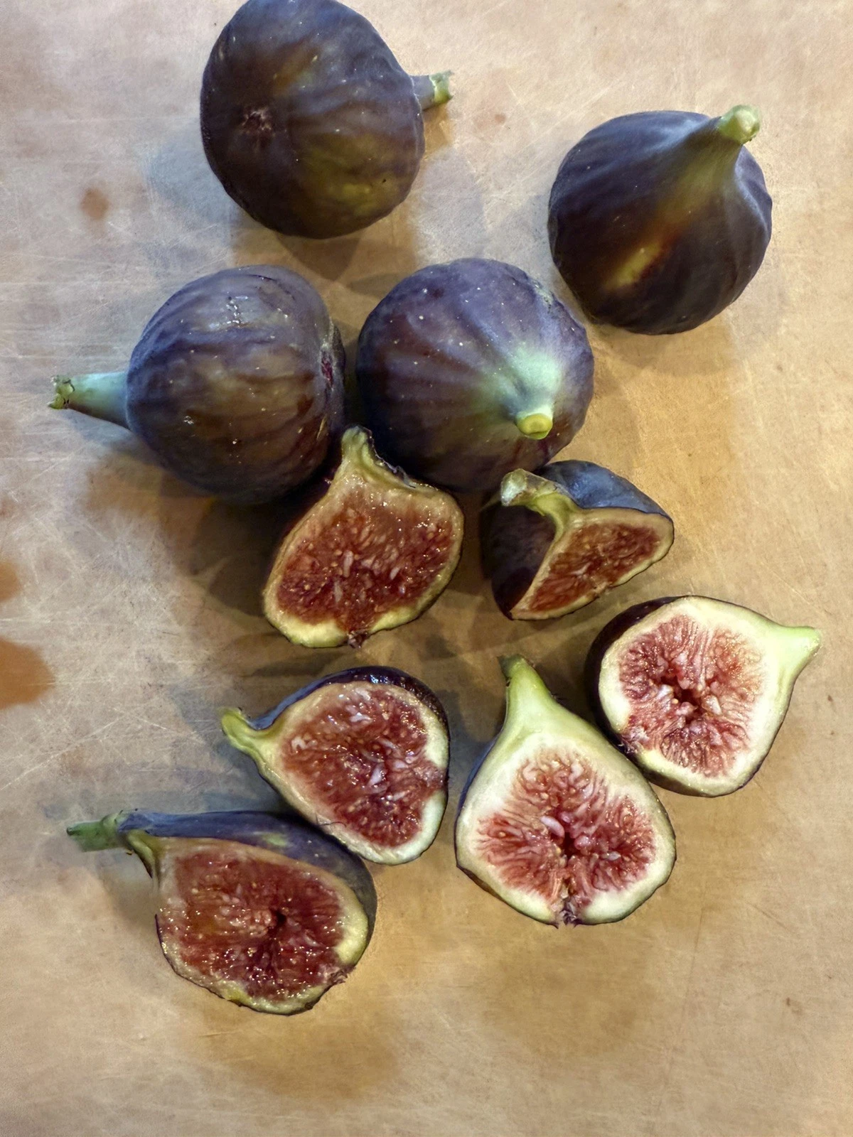 Unrooted Chicago Hardy Fig Tree Cuttings – Ficus carica ‘Chicago Hardy’ for Rooting & Grafting