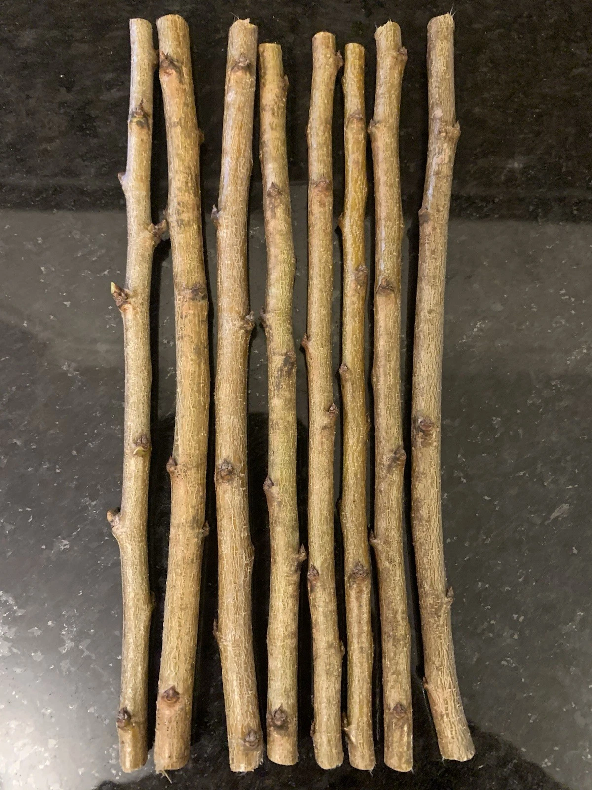 Unrooted Methley Plum Scions for Grafting | Prunus salicina Fruit Tree Propagation