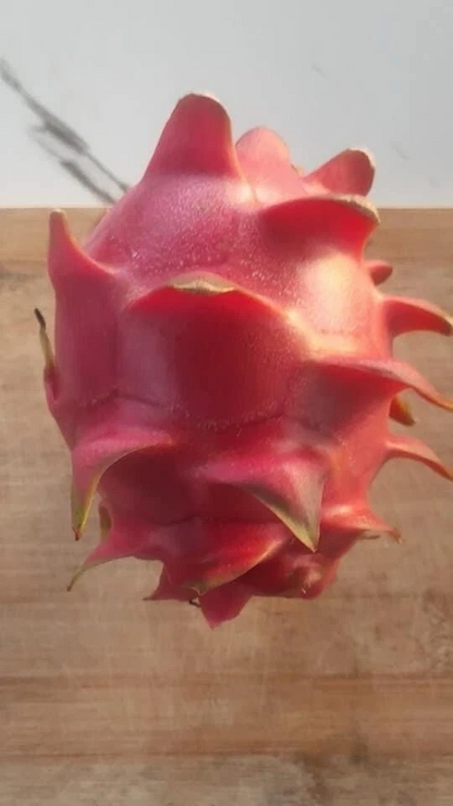 Dragon Fruit Cuttings 8–14 Inch, Pitaya Unrooted Cactus Cuttings for Propagation Set of 10