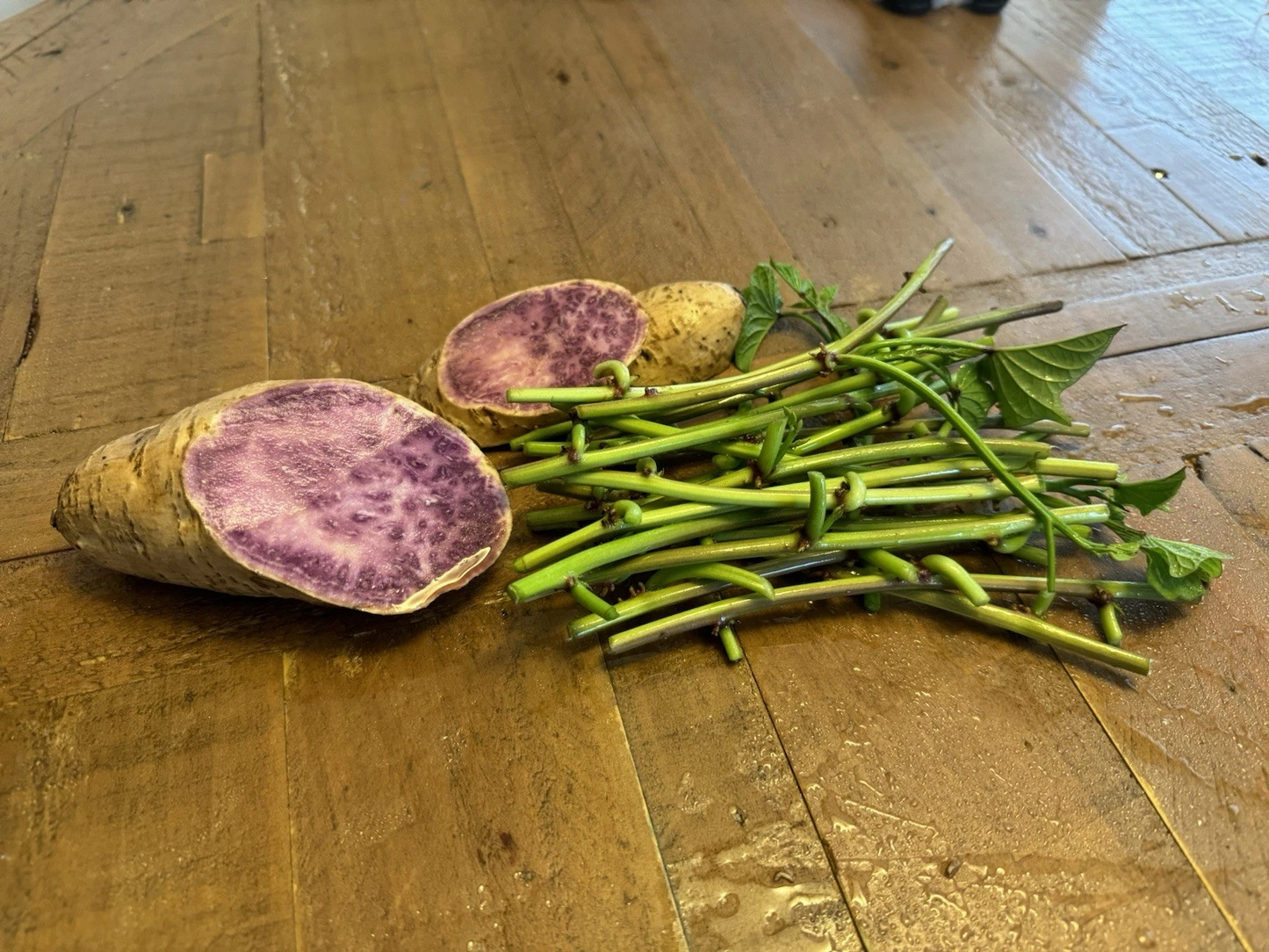 Okinawa Purple Sweet Potato Slips – 15 Unrooted Vine Cuttings for Garden Beds & Containers – Ipomoea batatas