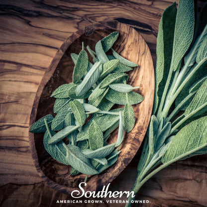 Extrakta Sage – 30 Seeds