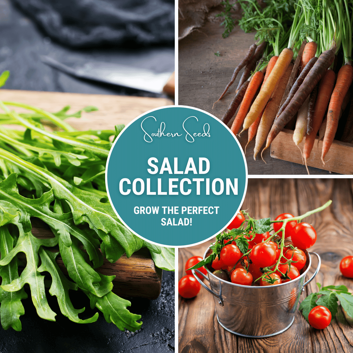 Salad Seed Collection – 6 Varieties for Fresh Garden Salads – Lettuce, Cucumber, Arugula, Radish, Tomato, Carrot Seeds