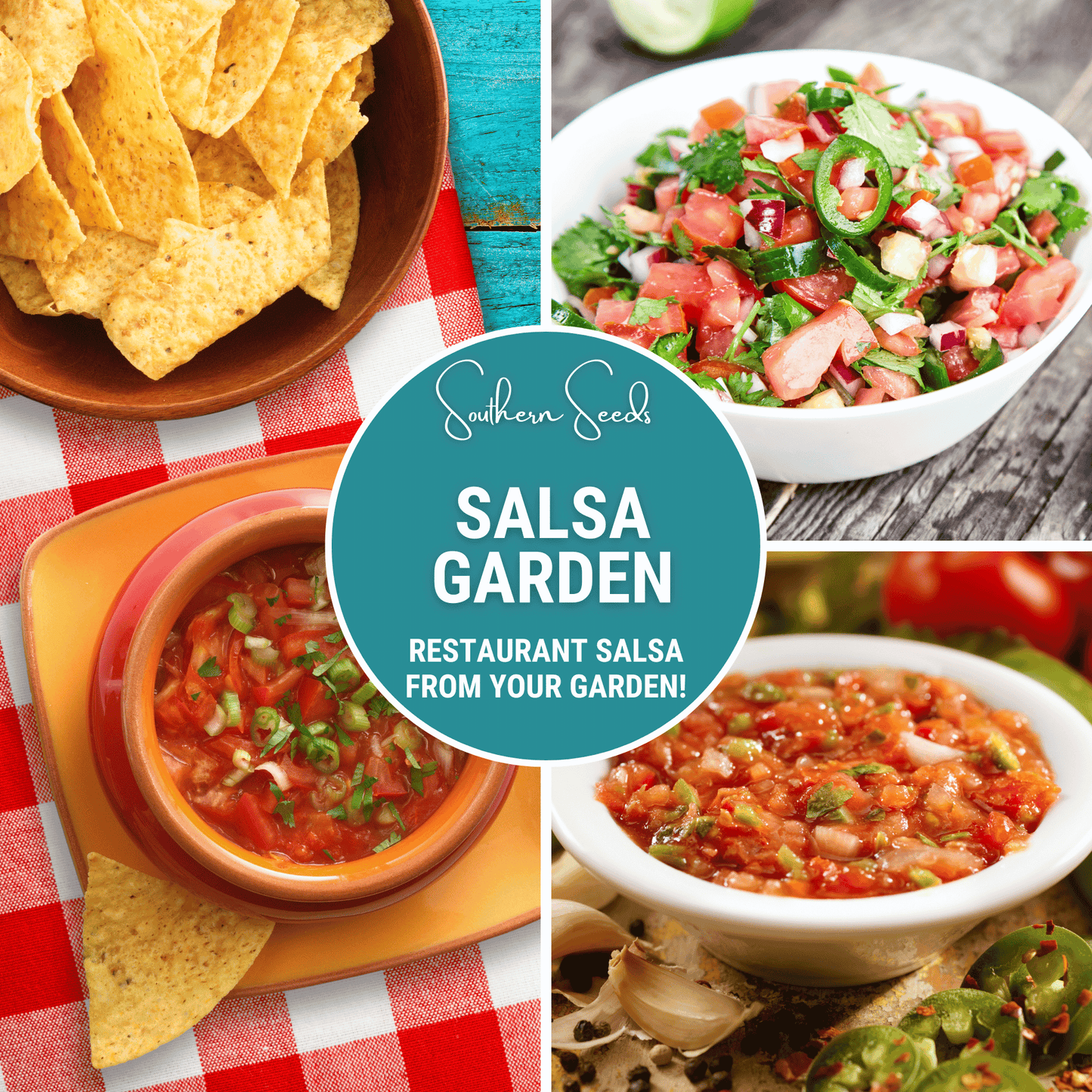 Salsa Seed Collection – Heirloom Tomato, Jalapeno, Cilantro & Peppers – Restaurant Style Salsa Seeds for Home Garden