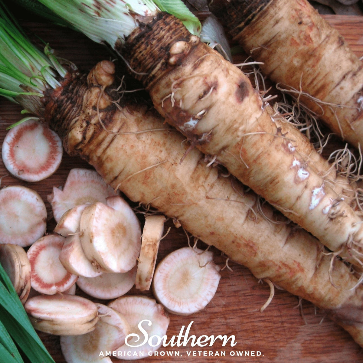 Mammoth Sandwich Island Salsify Seeds – Heirloom, Non-GMO, USDA Zones 5-12, Edible Root Plant (Tragopogon porrifolius)