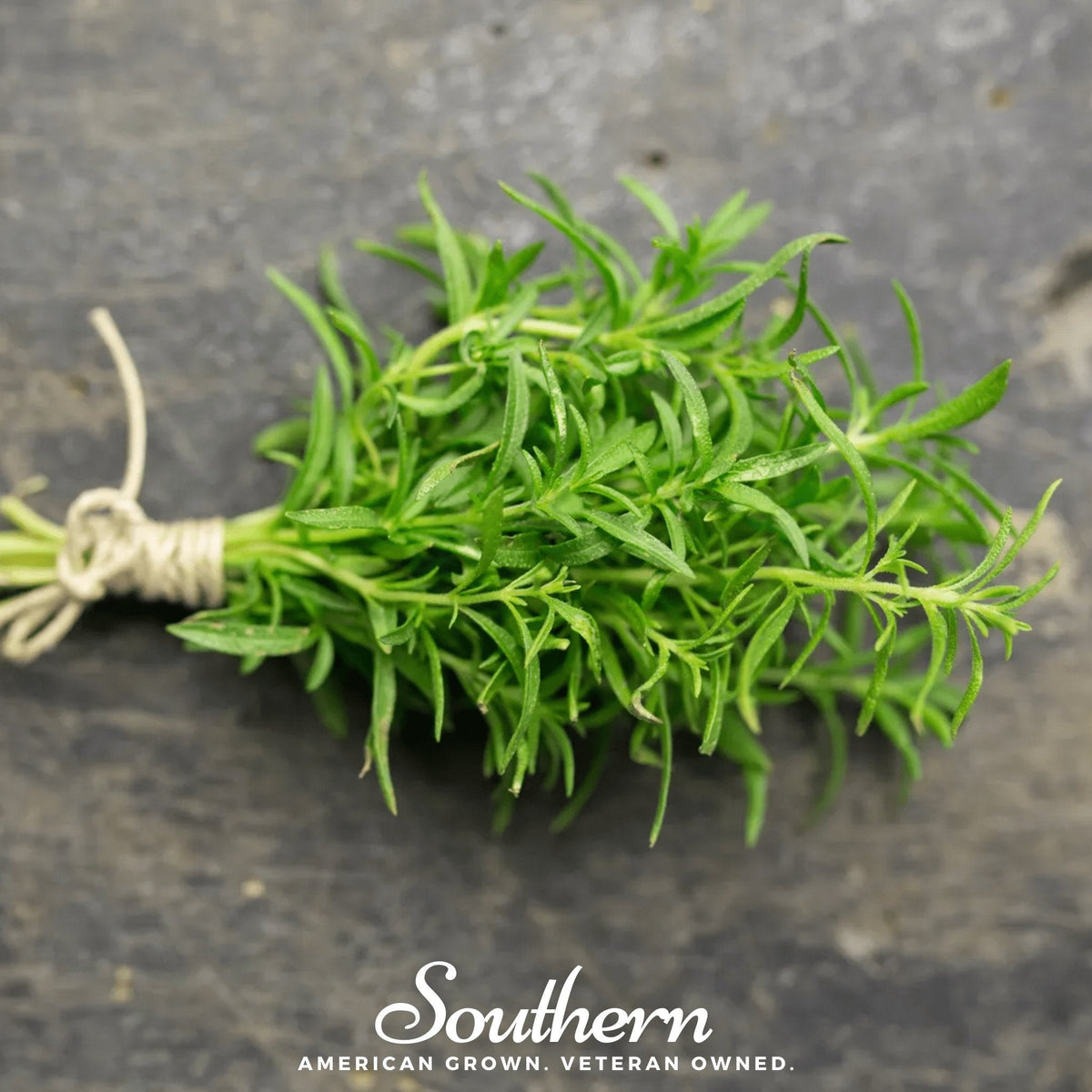 Winter Savory Seeds – 100 Heirloom, Non-GMO, Perennial Herb for Culinary Use, Drought-Tolerant, Satureja montana